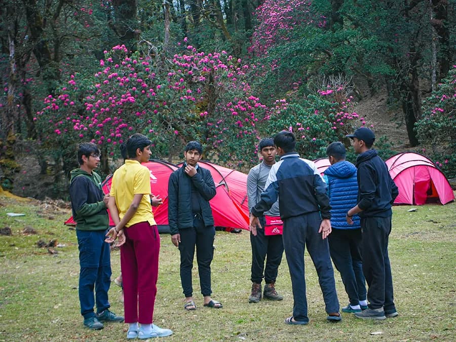 Shine bright in the wild