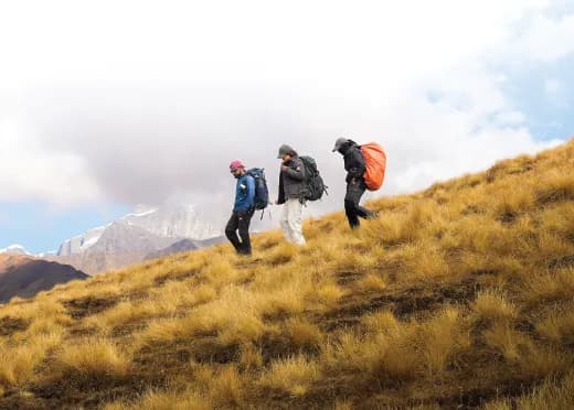 Cost-Effective Approach