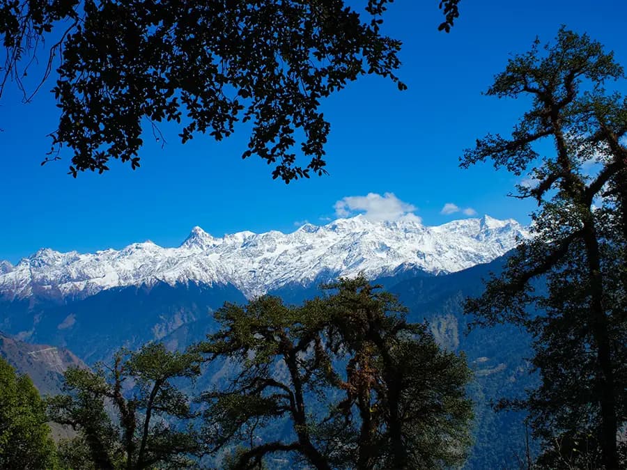 DayaraGalleryImages image 10