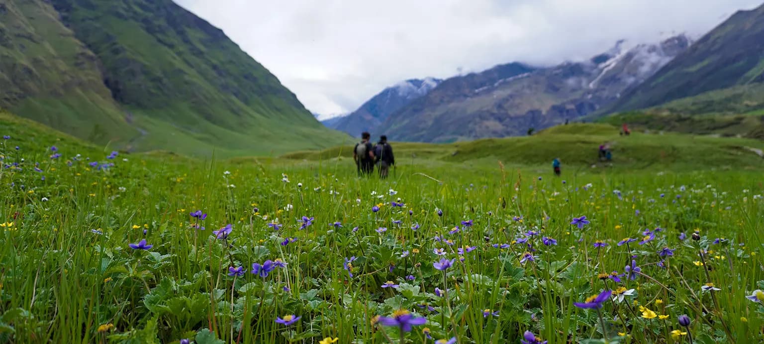 Pay Now - Trek The Himalayas