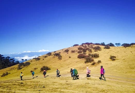 December 15, 2025 - Trek Update: Kedarkantha, Kuari Pass, Brahmatal and SandakphuTrek