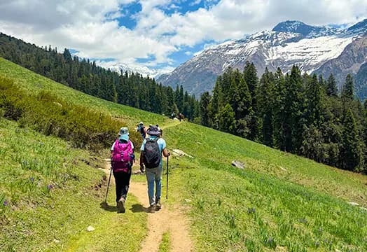 Your First Step into the Himalayas: Choosing the Right Trek