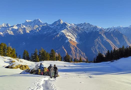 Ultimate Winter Kuari Pass Trek Guide for Beginners