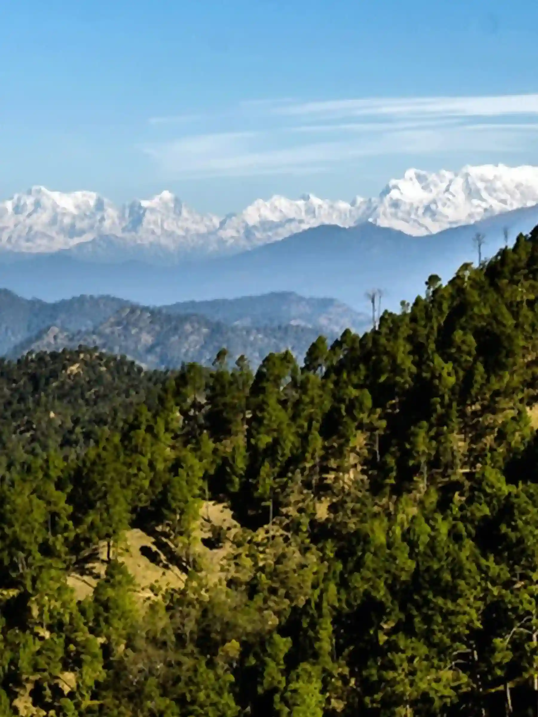 Binsar Weekend Trek