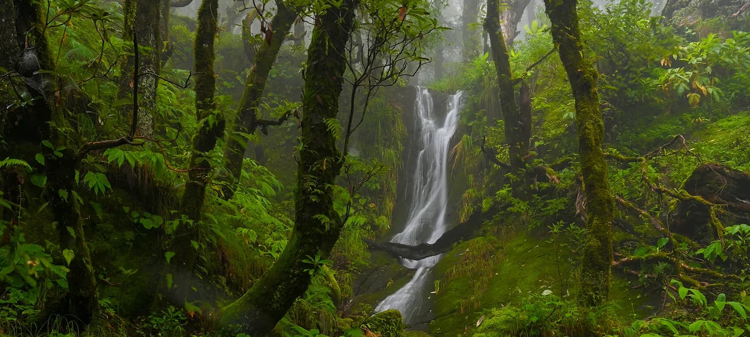 Dudhatoli Trek slide 4